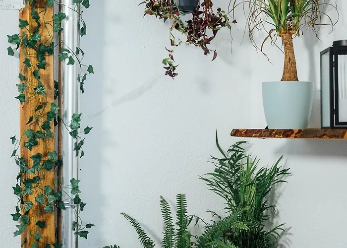 The Garage No.6 Apartamento Viena